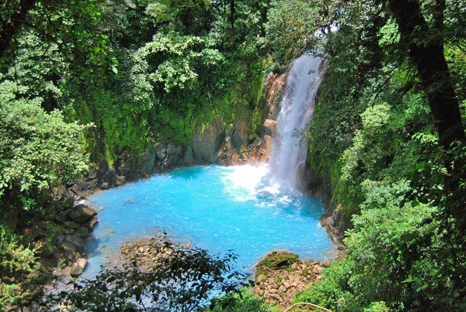 Xxx Blue Paradise - Rio Celeste Dreams Bijagua Eksteriør bilde