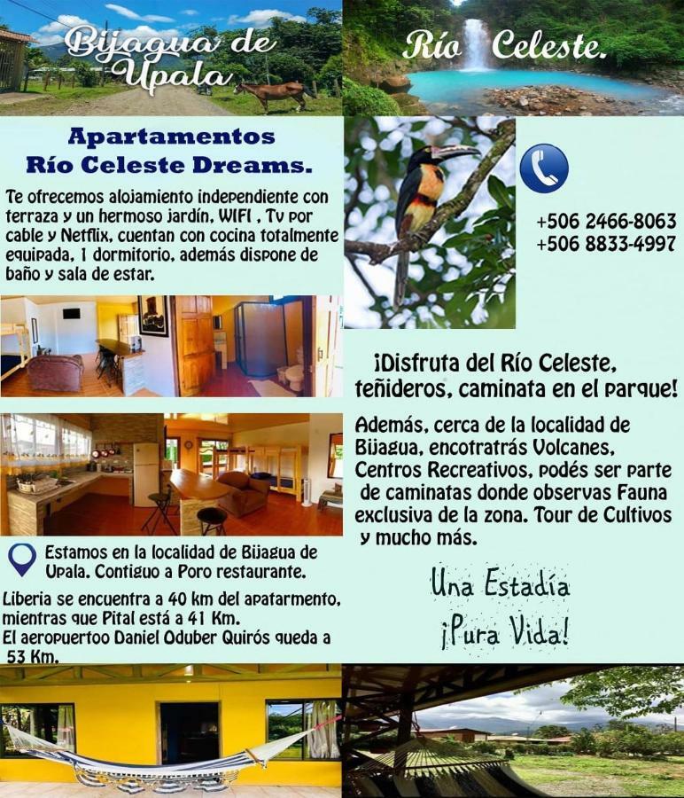 Xxx Blue Paradise - Rio Celeste Dreams Bijagua Eksteriør bilde